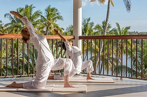 Аюрведическая клиника Кералы: Kalari Rasayana